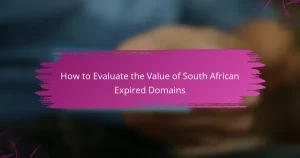How to Evaluate the Value of South African Expired Domains