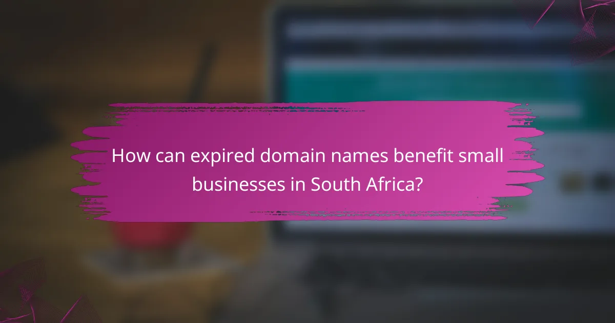 How can expired domain names benefit small businesses in South Africa?