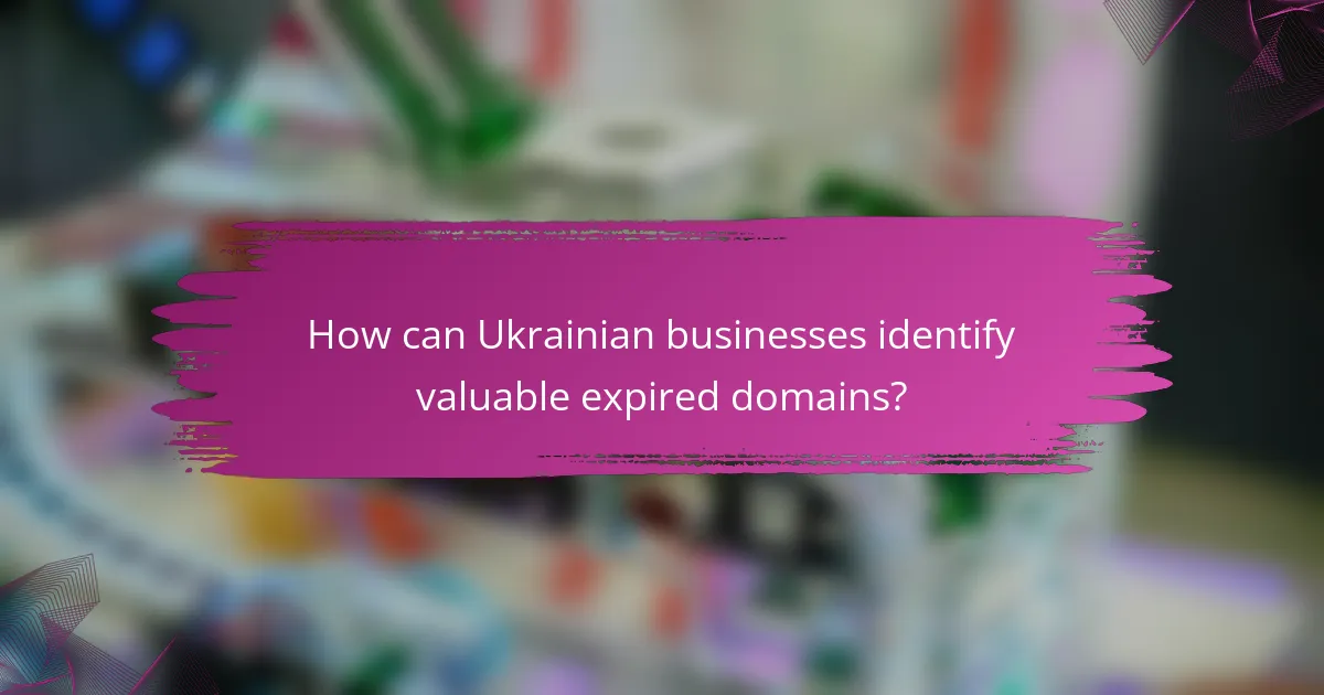 How can Ukrainian businesses identify valuable expired domains?