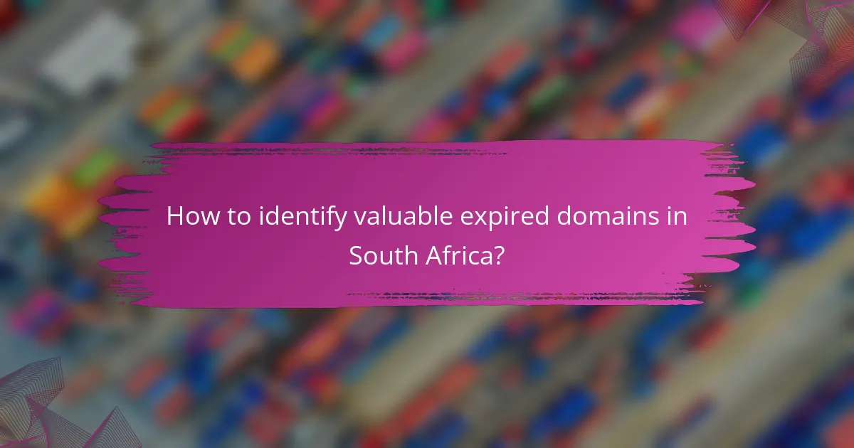 How to identify valuable expired domains in South Africa?