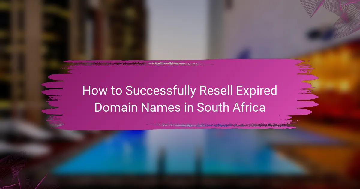 How to Successfully Resell Expired Domain Names in South Africa