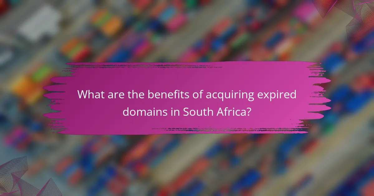 What are the benefits of acquiring expired domains in South Africa?