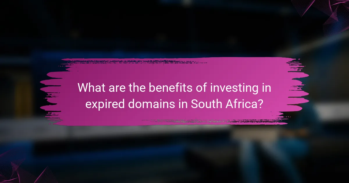 What are the benefits of investing in expired domains in South Africa?