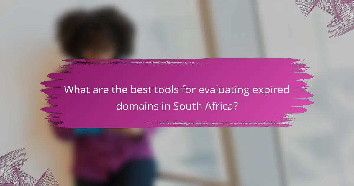 What are the best tools for evaluating expired domains in South Africa?
