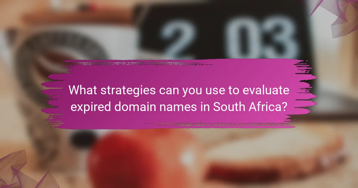 What strategies can you use to evaluate expired domain names in South Africa?